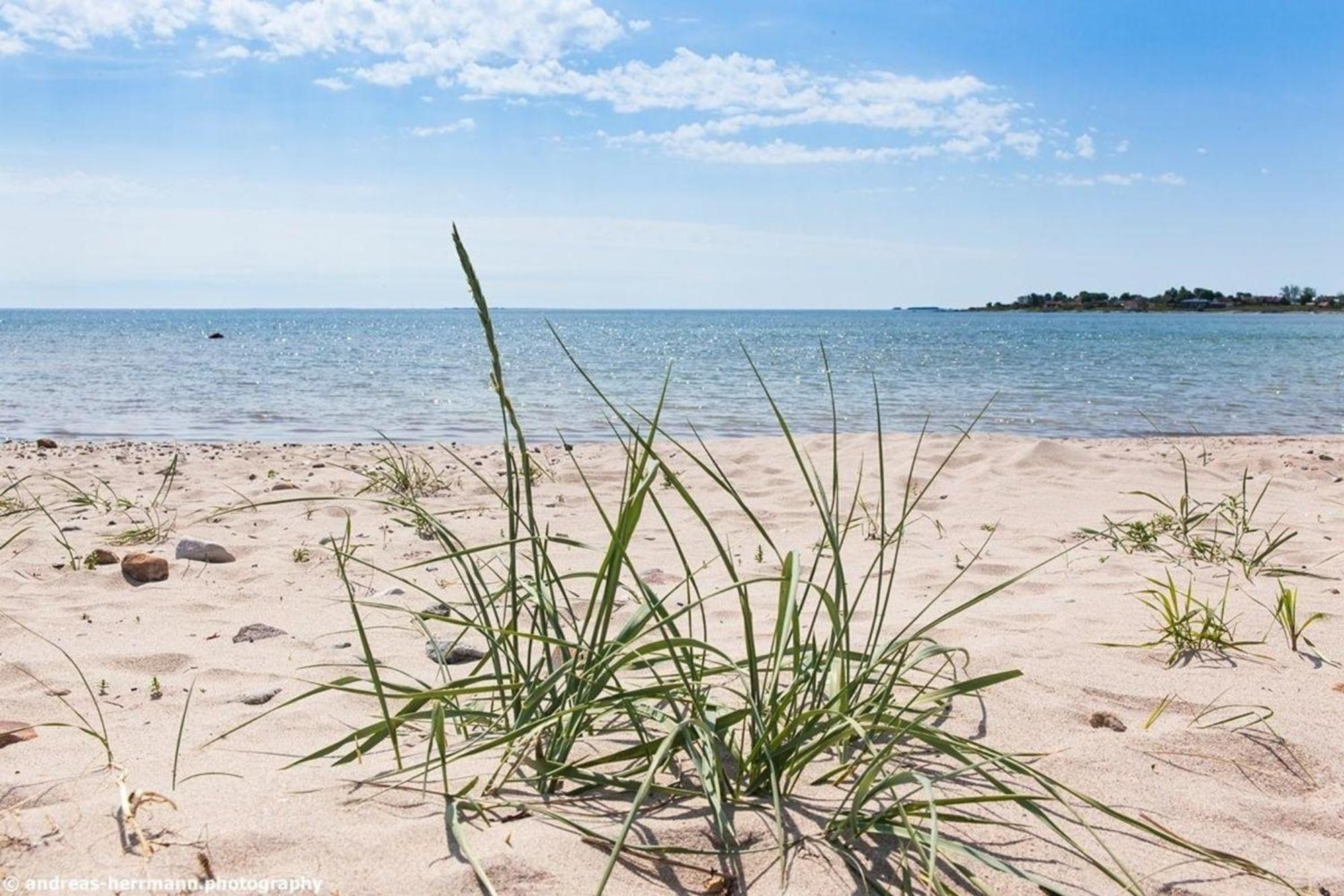 Neues Ferienhaus Auf Gotland 700 Meter Zum Meer Villa Ljugarn Екстериор снимка